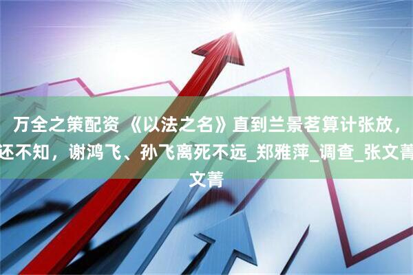 万全之策配资 《以法之名》直到兰景茗算计张放，还不知，谢鸿飞、孙飞离死不远_郑雅萍_调查_张文菁