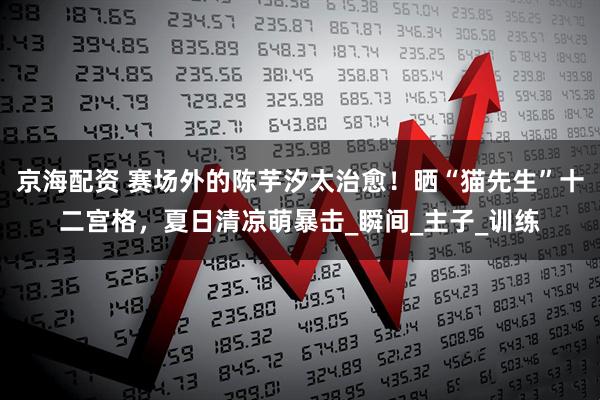 京海配资 赛场外的陈芋汐太治愈！晒“猫先生”十二宫格，夏日清凉萌暴击_瞬间_主子_训练