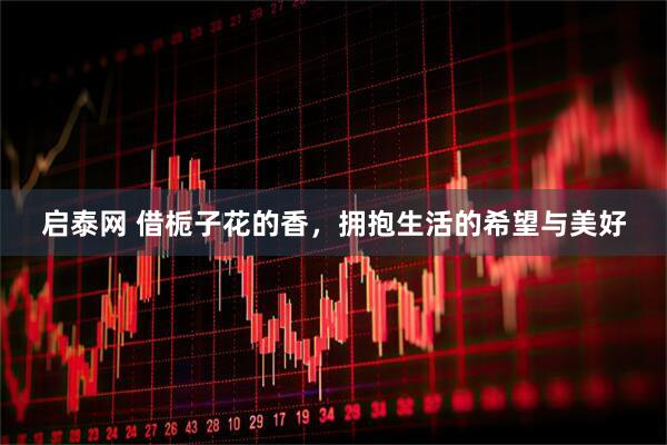 启泰网 借栀子花的香，拥抱生活的希望与美好